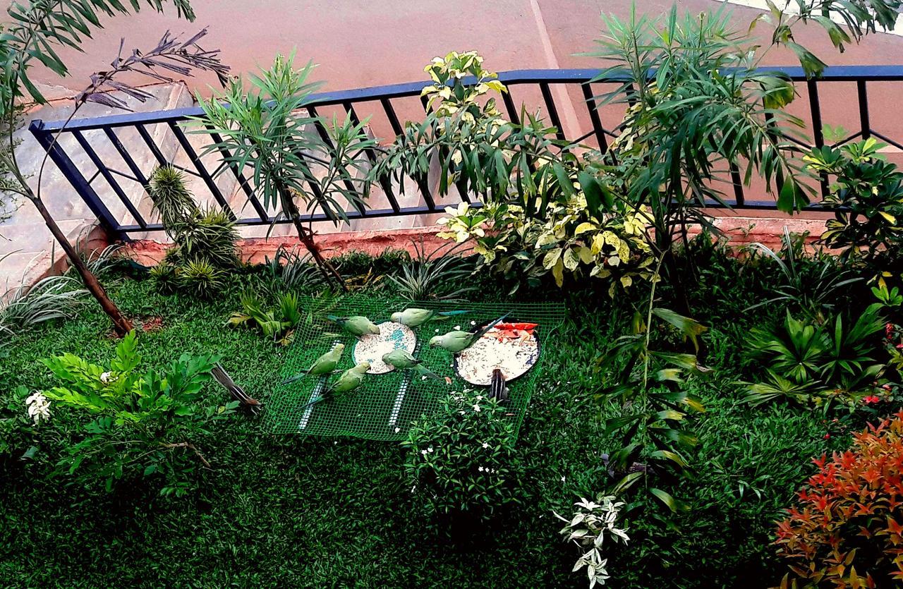 Saru Holiday Apartment - Up To 6 Guests Kandy Exterior foto
